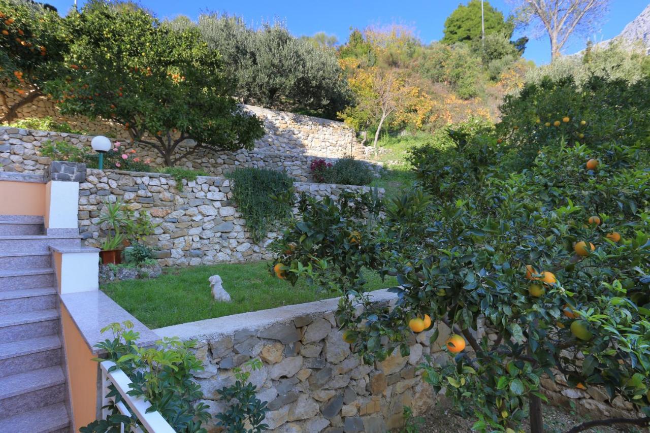 Apartments by the sea Podgora, Makarska - 2594 Bagian luar foto